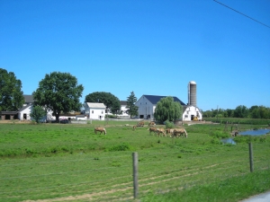 Amish-Farm
